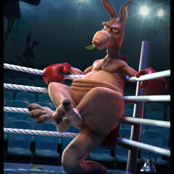 Kangaroo